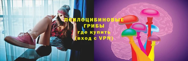 apvp Богданович